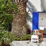 Erato Mykonos