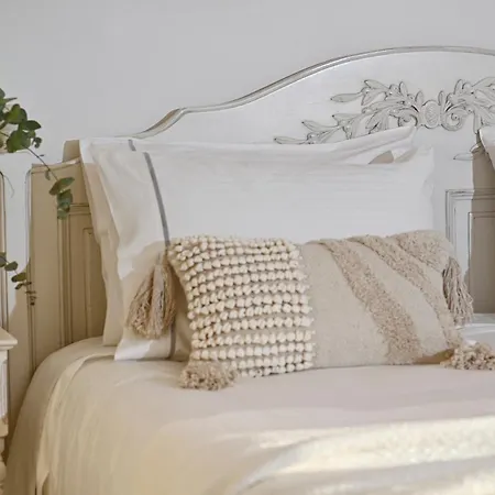 Erato Mykonos מלון 3*