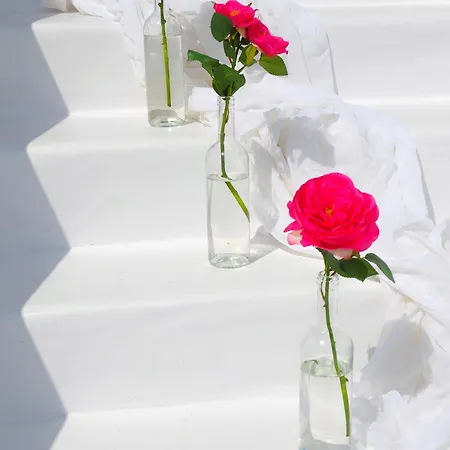 Erato Mykonos