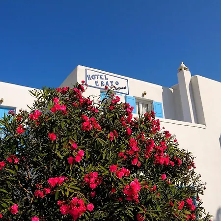 호텔 Erato Mykonos 오르노스