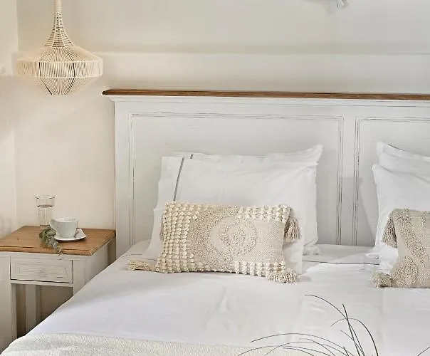 Erato Mykonos Ορνός