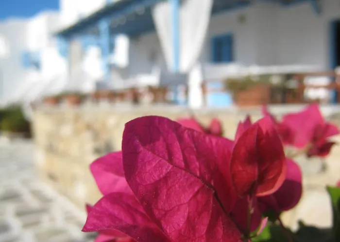 Ξενοδοχείο Erato Mykonos Ορνός