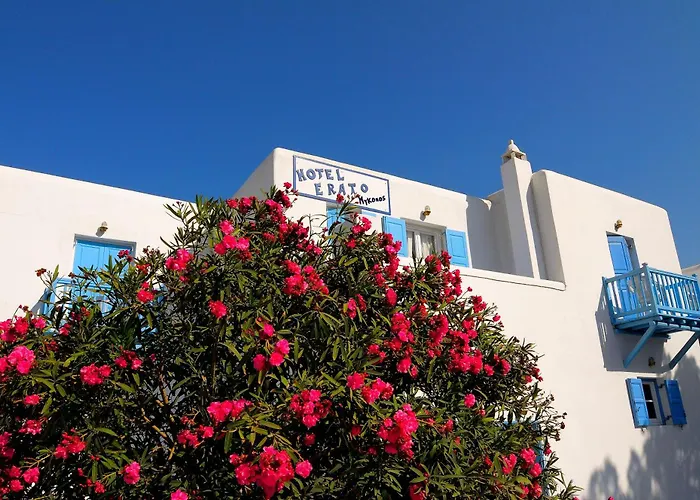 Ξενοδοχείο Erato Mykonos Ορνός